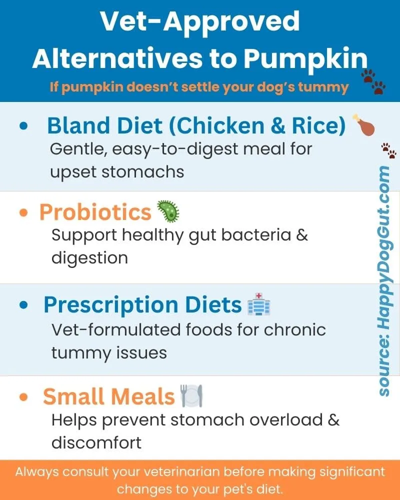Infographic listing vet-approved pumpkin alternatives for dog digestion issues