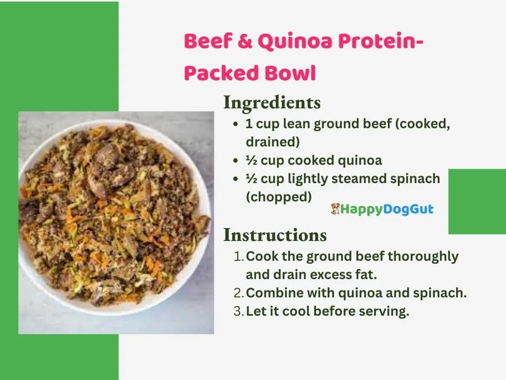 Beef and quinoa homemade dog food recipe rich in protein