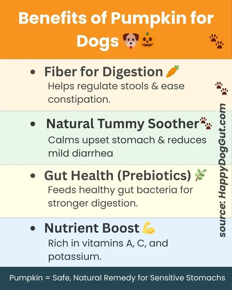Infographic showing health benefits of pumpkin for dogs with sensitive stomachs