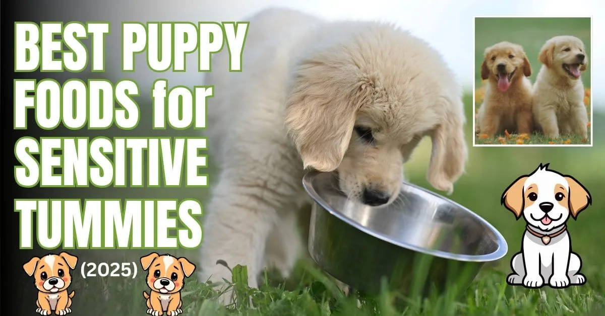 Cute puppy carrying food bowl in mouth, ready for meal.