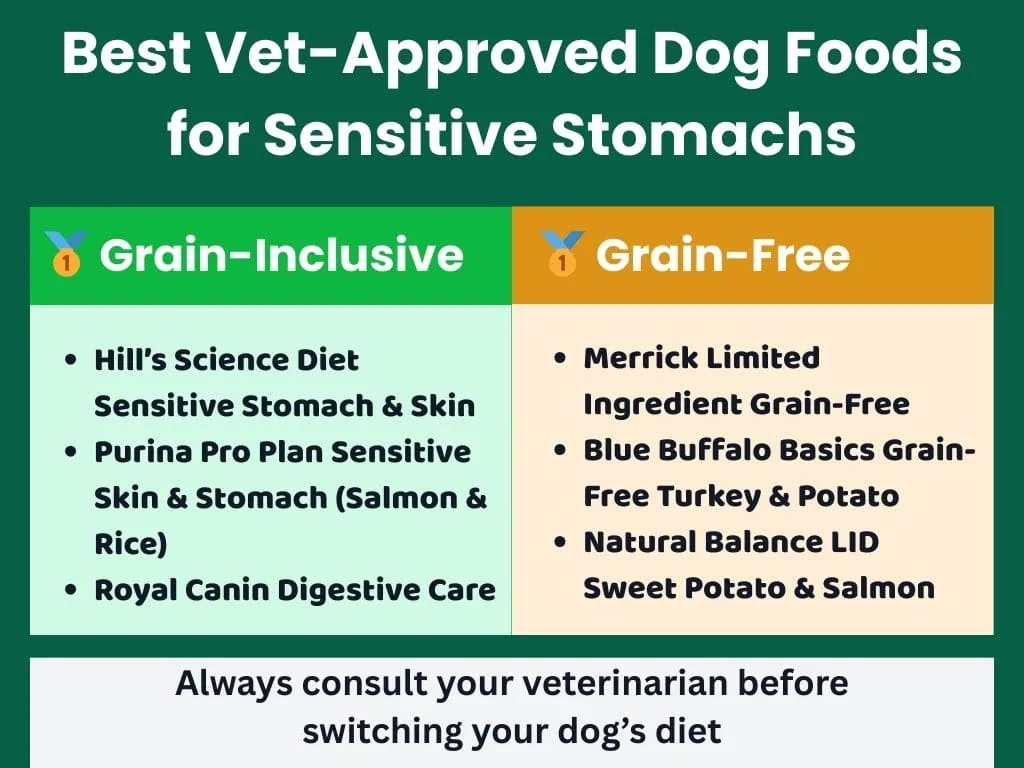 Infographic list of best vet-approved dog foods for sensitive stomachs including Hill’s, Purina, Royal Canin, Merrick, Blue Buffalo, and Natural Balance