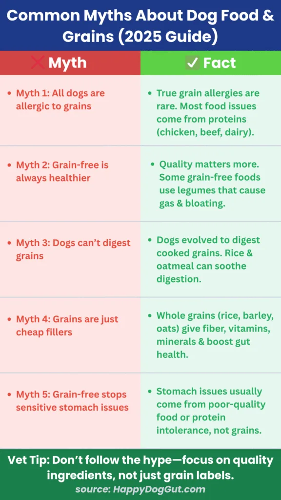 Infographic breaking common myths about grain-free vs grain-inclusive dog food for sensitive stomachs