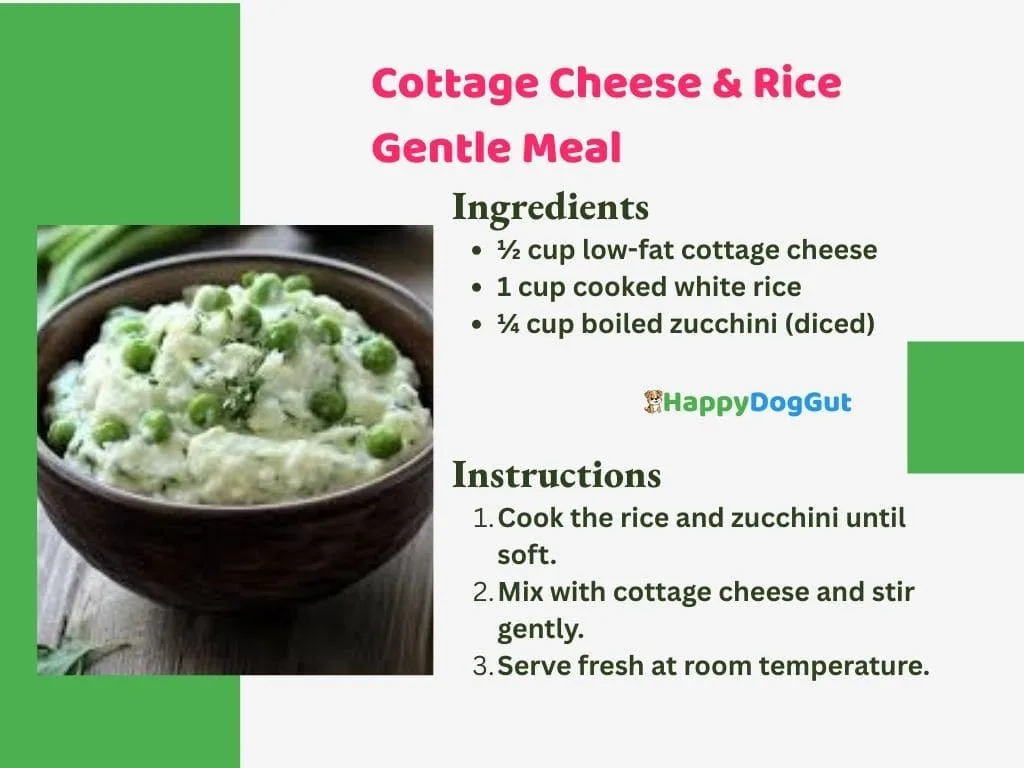 Homemade cottage cheese and rice meal for dogs with sensitive stomachs