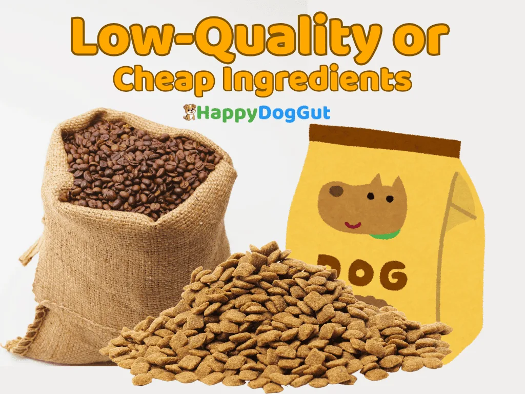 Infographic showing how cheap dog food with fillers and preservatives affects digestion.