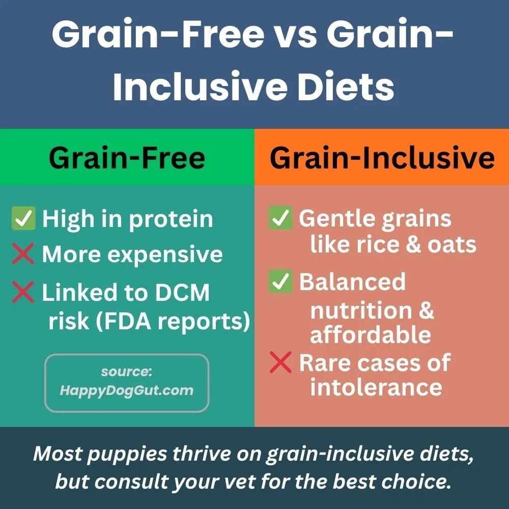 Infographic comparing grain-free vs. grain-inclusive puppy food pros and cons for sensitive digestion.