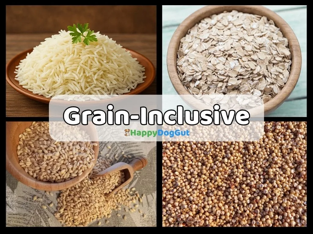 Infographic showing grain-inclusive dog food ingredients such as rice, oatmeal, barley, and brown rice