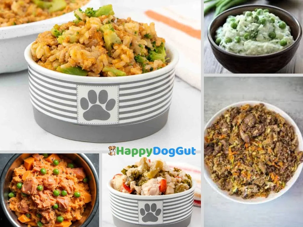Homemade dog food for sensitive stomach with fresh ingredients