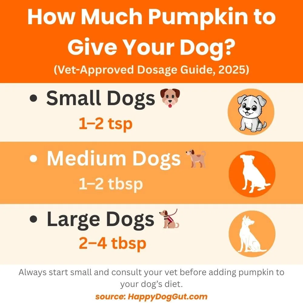 Dosage chart infographic showing how much pumpkin to give small, medium, and large dogs
