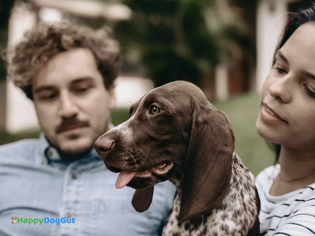 Sad dog with upset stomach sitting beside caring owner couple at home