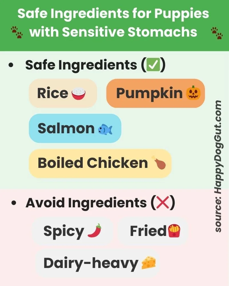Infographic of safe homemade puppy food ingredients like rice, salmon, pumpkin, and boiled chicken.