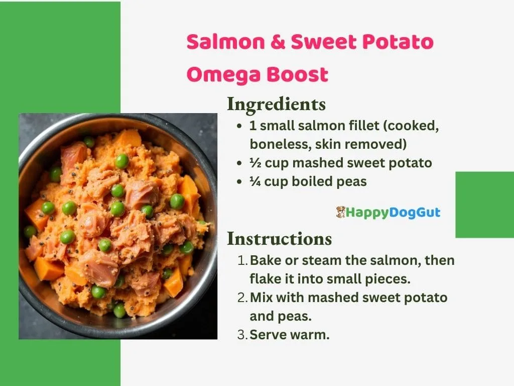 Homemade salmon and sweet potato dog food rich in omega-3 for healthy skin and digestion