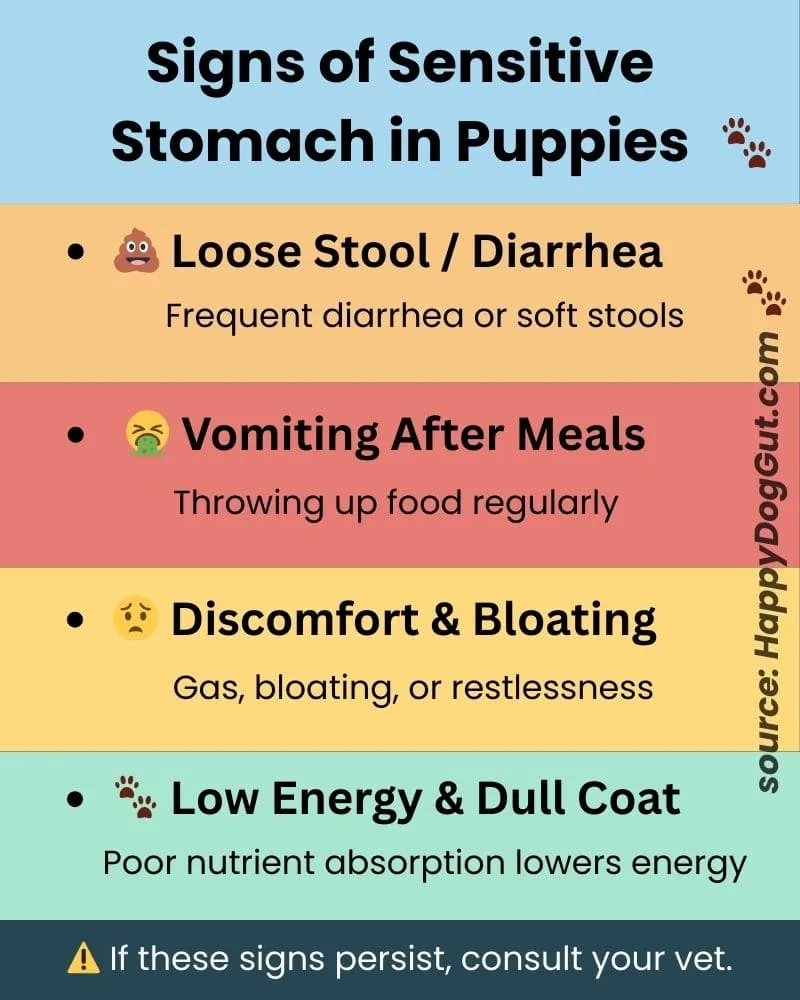 Puppy sensitive stomach symptoms infographic with icons for diarrhea, vomiting, bloating, low energy.