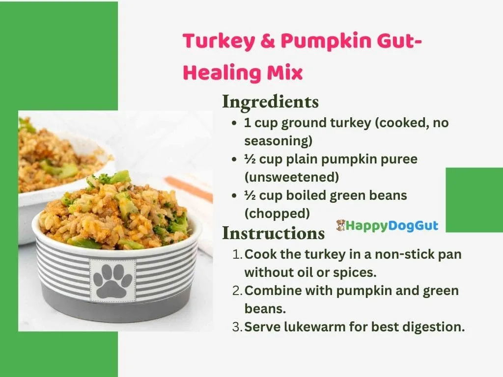 Homemade turkey and pumpkin dog food mix for sensitive stomach and gut health