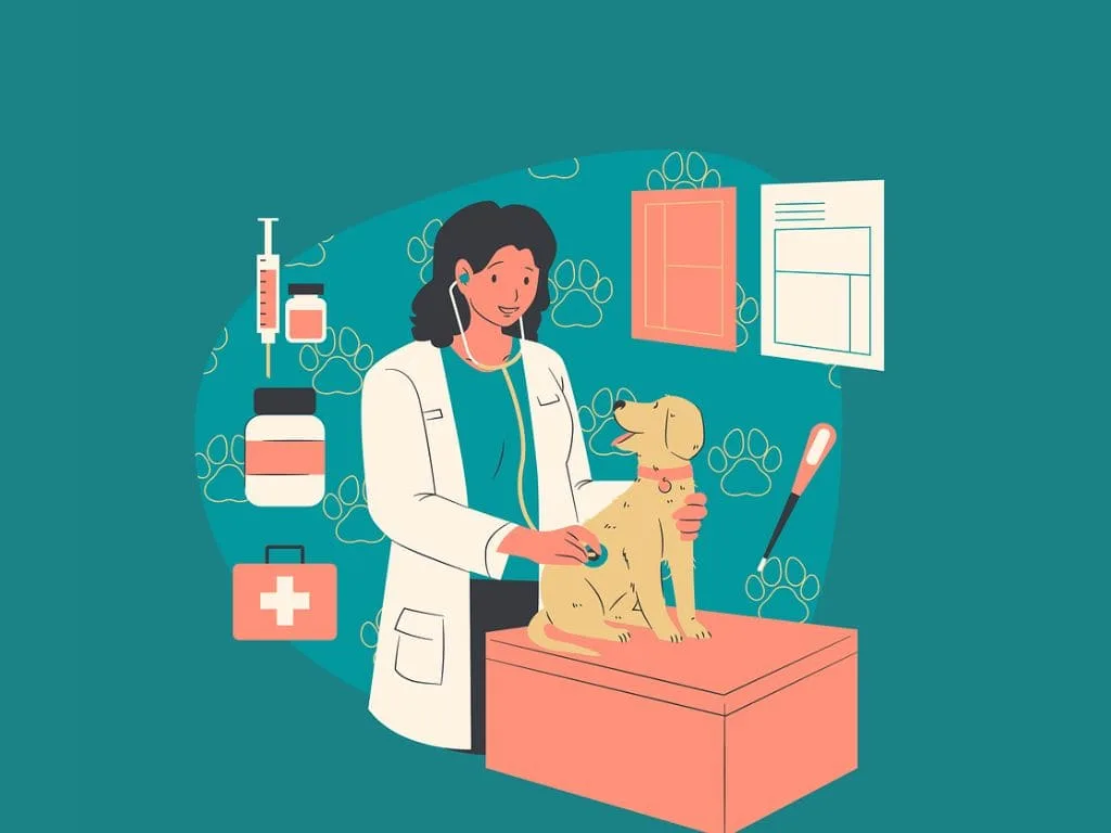 Veterinarian explaining dog gut health during a checkup
