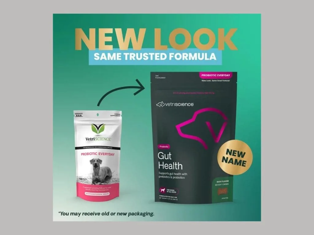 Best Probiotic for Dog Nusentia Probiotic Miracle for digestive problems.