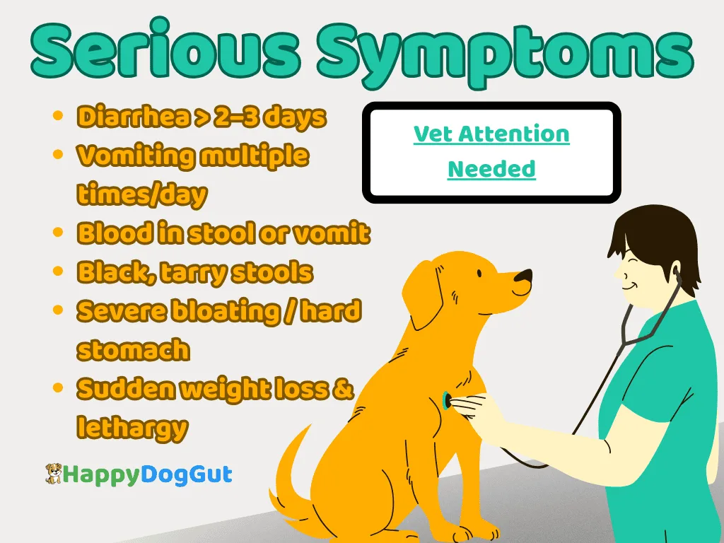 Infographic showing urgent signs like blood in stool, chronic diarrhea, severe bloating.
