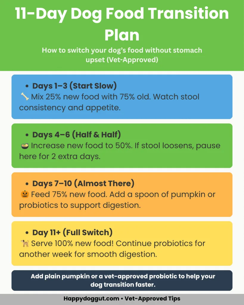 Infographic showing 11-day step-by-step plan to switch dog food without stomach upset