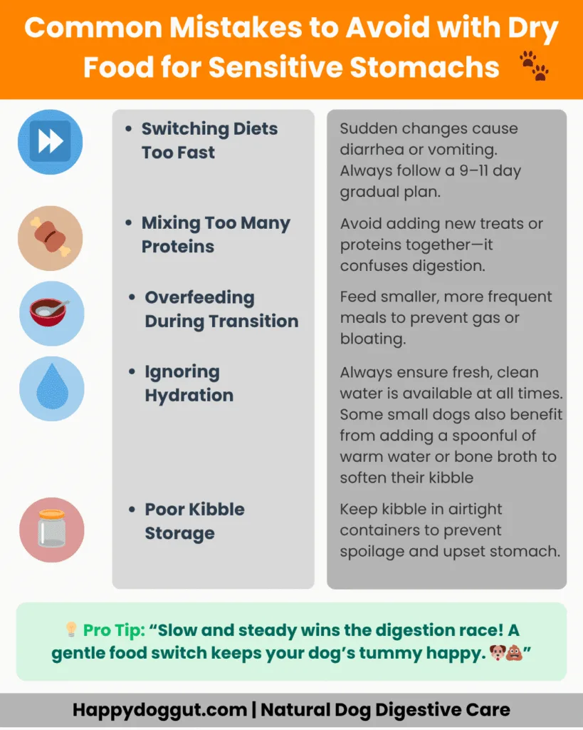 Infographic on common feeding mistakes to avoid with small dogs’ sensitive stomachs