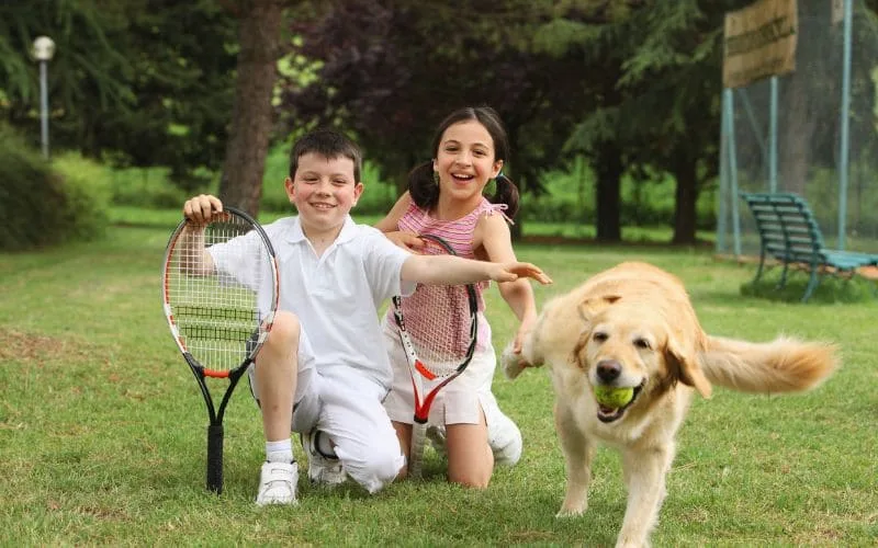 Happy dog running with tennis ball and playing with American boy and girl in garden