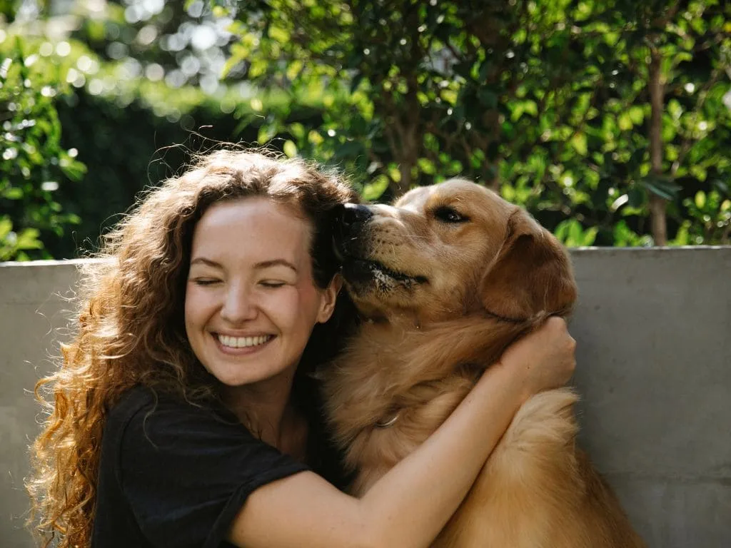 Happy golden retriever playing with her owner outdoors after recovering from stomach issues.
