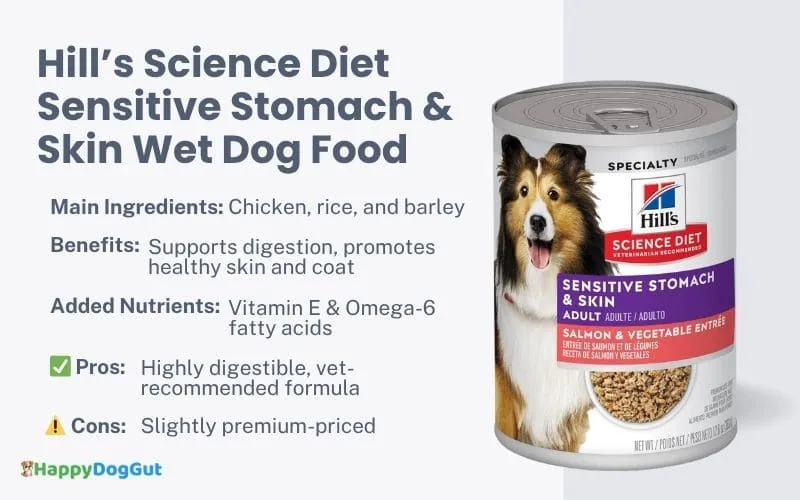 Hill’s Science Diet Sensitive Stomach & Skin Wet Dog Food can — vet-approved for gentle digestion.