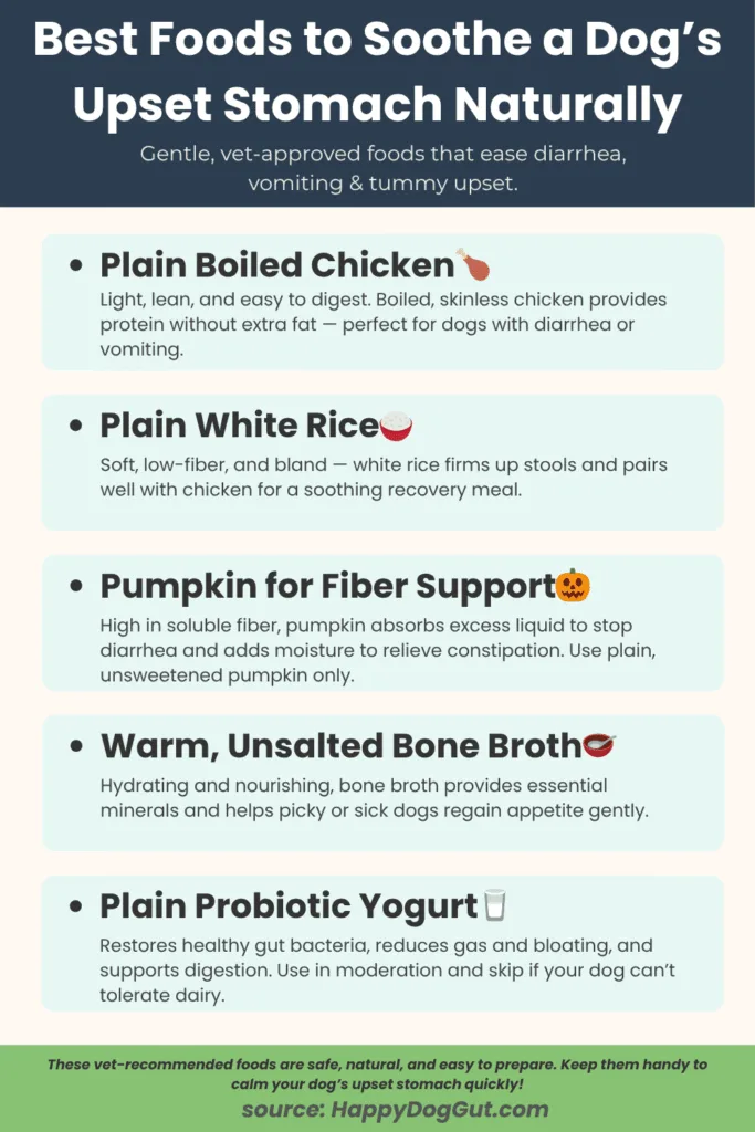 Infographic showing gentle foods like boiled chicken, rice, pumpkin, and bone broth for dogs with upset stomachs.
