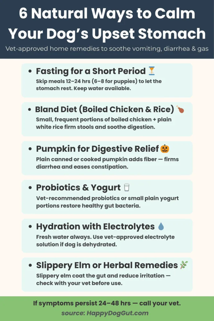 Infographic explaining how to calm a dog’s upset stomach naturally with safe home remedies like pumpkin, bland diet, probiotics, and hydration tips.