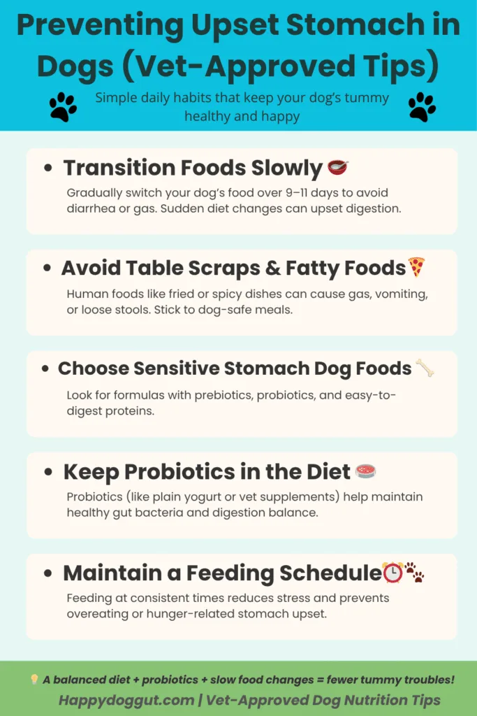 Infographic showing vet-approved tips to prevent upset stomach in dogs.