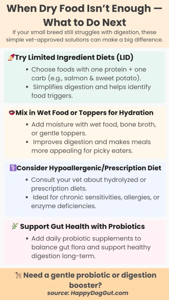 Infographic with next steps when dry dog food doesn’t help sensitive small breeds