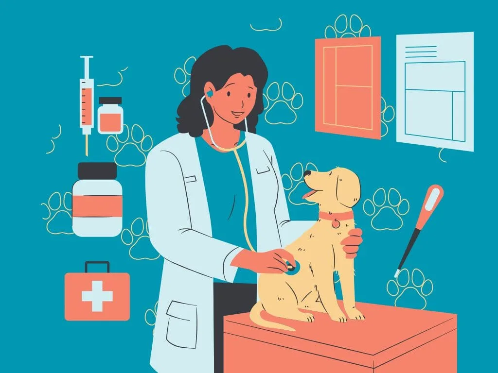 Woman veterinarian examining a dog in a clinic for stomach issues.