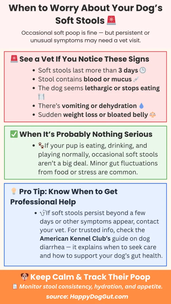 Infographic showing vet-approved signs of when to call the vet for dog soft stools, including blood, lethargy, and vomiting