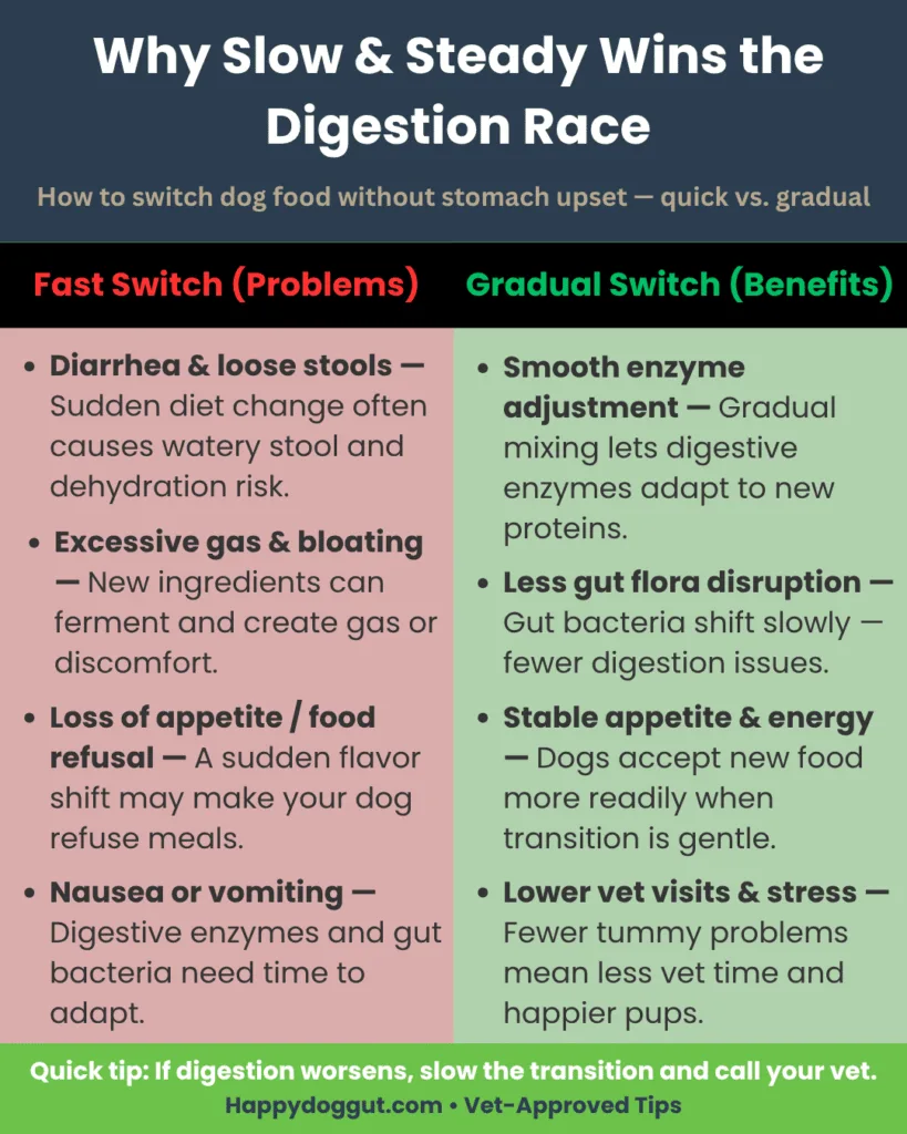 Infographic explaining why gradual food transition matters for dogs’ digestion