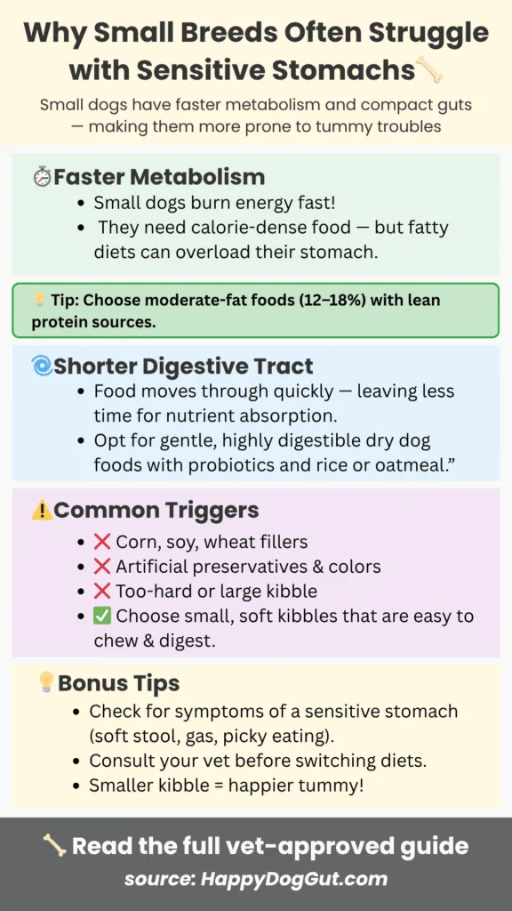 Infographic showing reasons why small breed dogs have sensitive stomachs and digestive issues