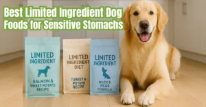 Golden Retriever sitting next to limited ingredient diet dog food bags for sensitive stomachs in 2025.
