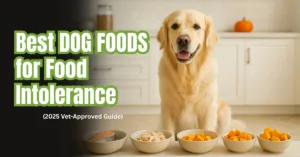 Golden Retriever sitting beside bowls of salmon, turkey, sweet potato, and pumpkin limited ingredient dog foods in a bright kitchen