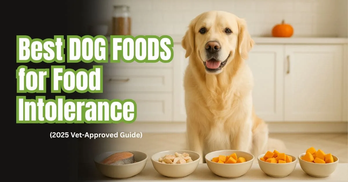 Golden Retriever sitting beside bowls of salmon, turkey, sweet potato, and pumpkin limited ingredient dog foods in a bright kitchen