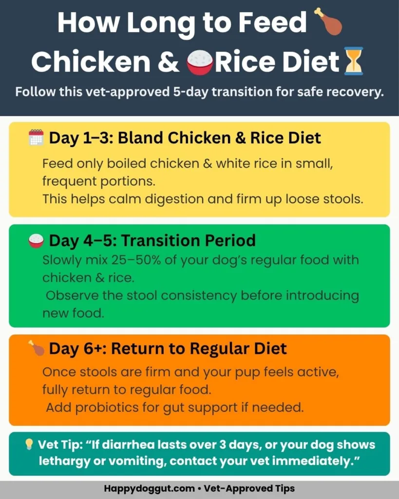 Infographic showing how long to feed chicken and rice diet to dogs with diarrhea for recovery