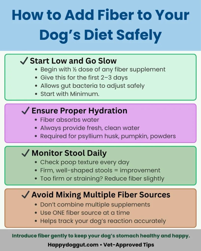 Infographic with step-by-step instructions for safely adding fiber to a dog’s diet.