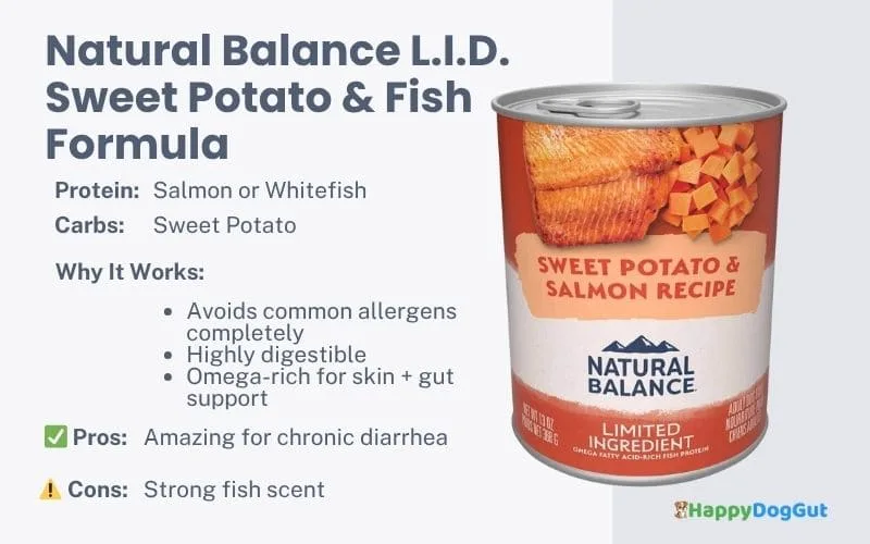 Best Limited Ingredient Dog Foods For Sensitive Stomachs 2025 Photo Inspiration