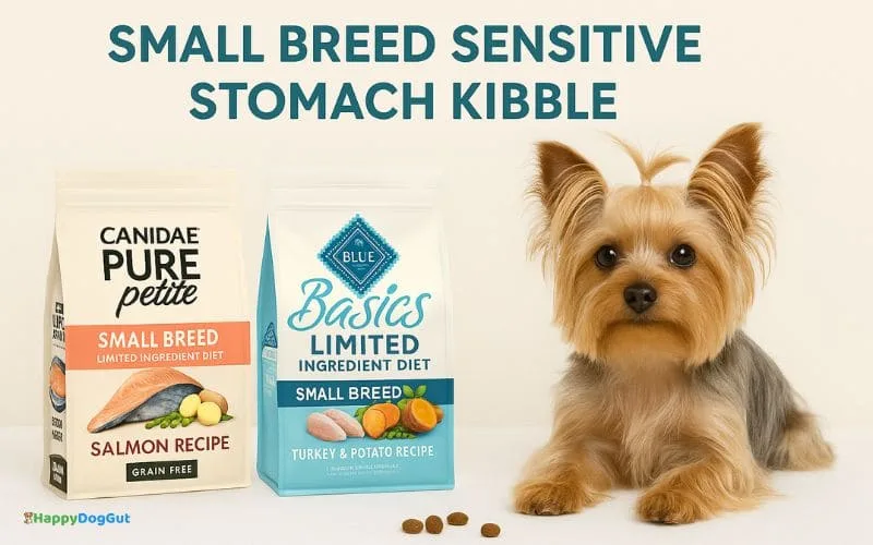 Small-breed sensitive stomach kibble options including Canidae PURE Petite and Blue Buffalo Basics