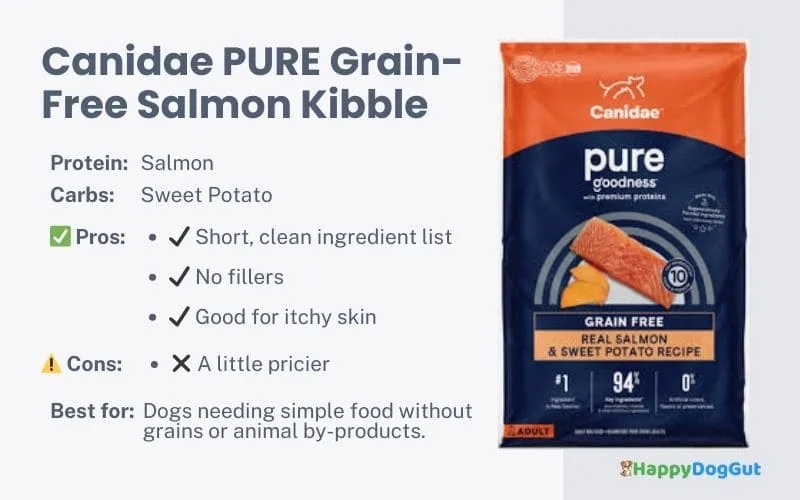 Canidae PURE grain-free salmon kibble for dogs with sensitive stomachs