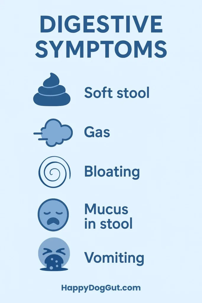 Infographic showing digestive issues that improve with the best dog kibble for sensitive stomachs