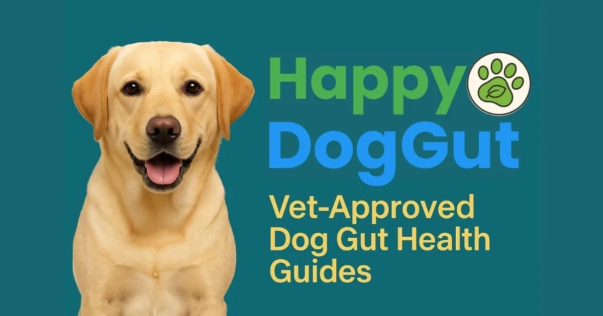 HappyDogGut | Dog Gut Health, Sensitive Stomach & Nutrition Tips - Dog Gut Health Support Supplements For Sensitive Stomachs And Digestive Issues