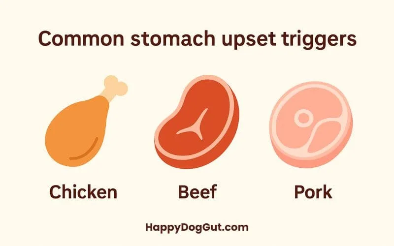Icons of chicken, beef, and pork labeled as common stomach upset triggers.