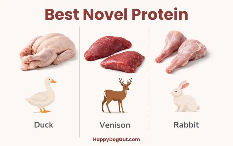 Duck, venison, and rabbit shown as best novel protein dog foods for sensitive dogs