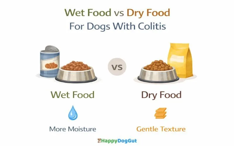 Comparison infographic showing wet food vs dry food for dogs with colitis