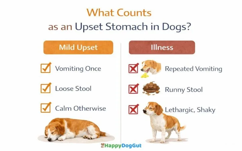 Infographic explaining mild upset stomach signs and how long does a dog’s upset stomach last