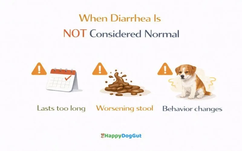 Infographic showing when dog diarrhea is not considered normal
