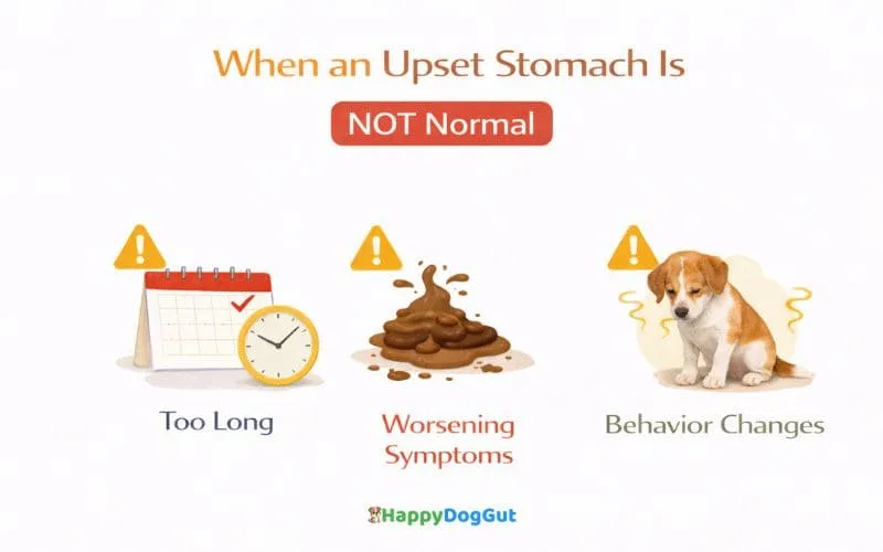 Infographic showing when a dog’s upset stomach is not normal
