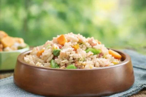 Best Dog Food for Loose Stool